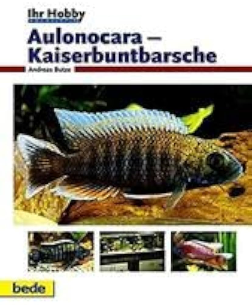 洋書Malawi Cichlids マラウイ シクリッド